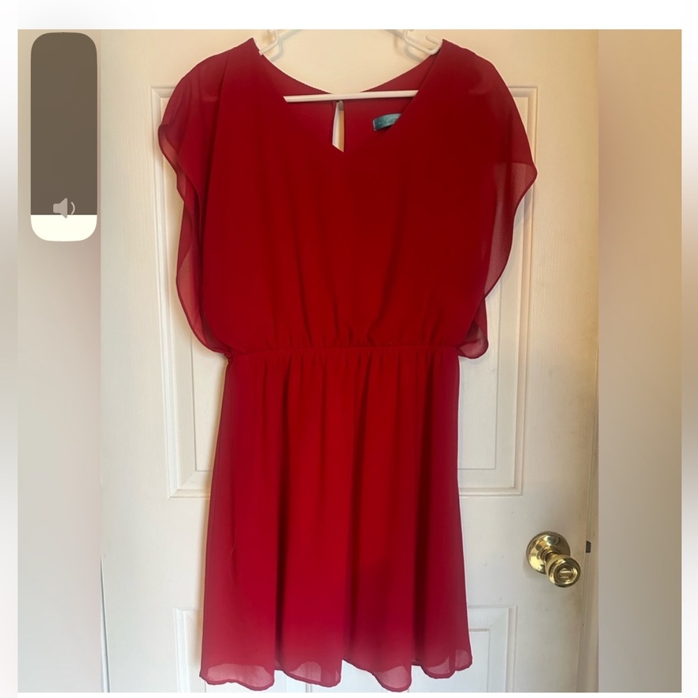 Francesca’s Boutique Dress